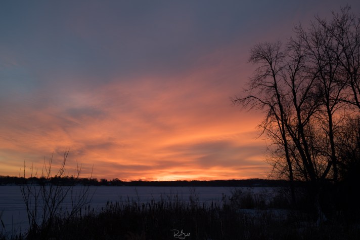 Lafayette Morning ii raw